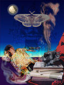 Quadrille Publishing