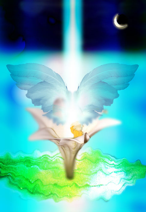 A Harmony of Angels