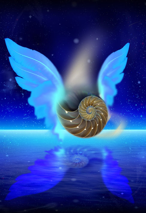 A Harmony of Angels