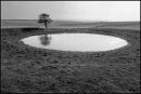 Dewpond