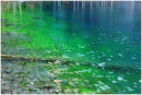 Monet in the Rockies