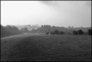 Misty morning