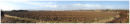Ploughed field