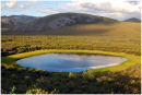 Pool by the Dempster Highway