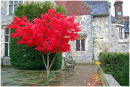 Autumn colours
