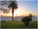 Dawn in Renmark