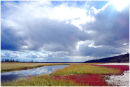 Salt Plains