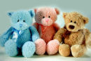One Teddy Bear