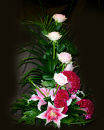 Designer Front Facing Arrangement