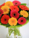 Vase Germinis
