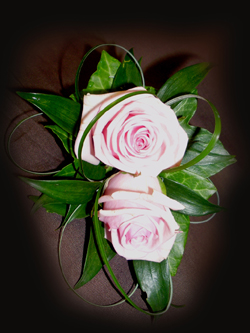 Pink Double Rose Corsage