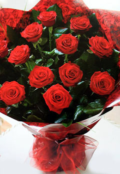 Red Rose Handtied