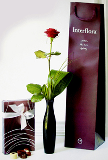 Single Red Rose & Chocolates