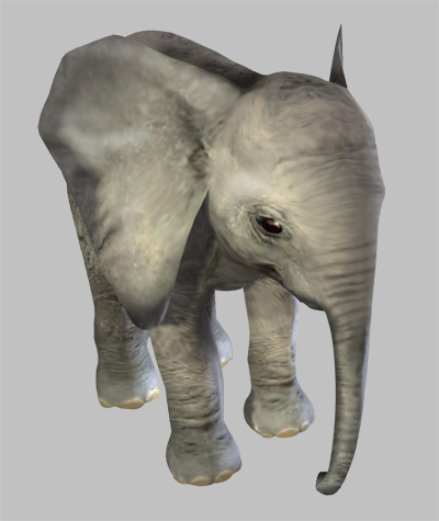 Elephant