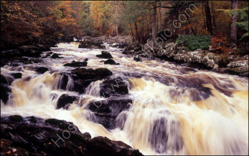 Black Linn Falls, The Hermitage.