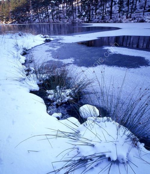 Down the loch.