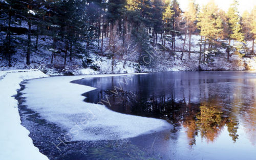 Cold reflection.