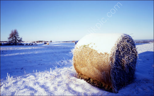 Hay Bale.