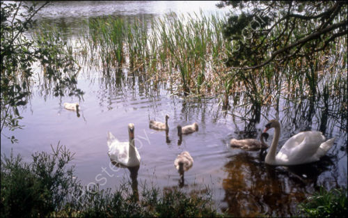 Family day out.