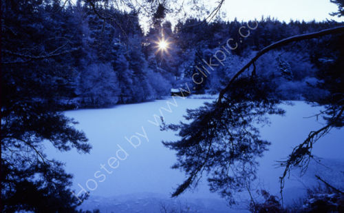 Winter Scene, Millbuies.