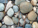Pebbles