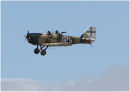 Great War Display Team