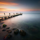Early Morning