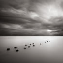 Days Are Numbers II