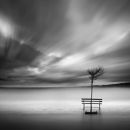 Shelter