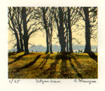 Dalgan View