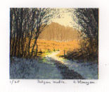 Dalgan Walk