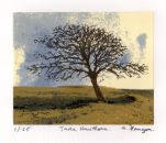 Tara Hawthorn