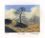 Tara Oak