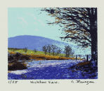 Wicklow View