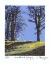 Woodland Grazing