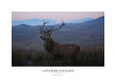 Rannoch Moor