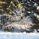 Christmas Magic