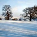 Snow shadows