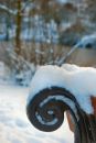 Fresh snowfall