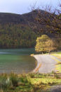 Afternoon Light, Buttermere