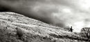 Stormy Skies, Storiths