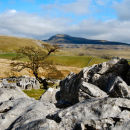 Ingleborough