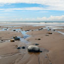 Summer Sands