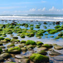 Rockpool Reflections