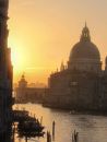 Golden Dawn, Venice