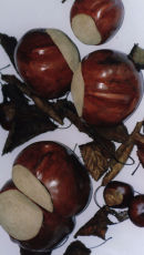 Burnished terracotta and Suede conkersSize 6cm - 11cm 