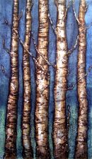 Night Birch Forest
