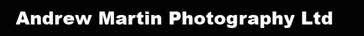 Andrew Martin Photography