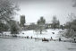 09 Ely Snowscene