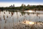 456 Ely Roswell Reeds